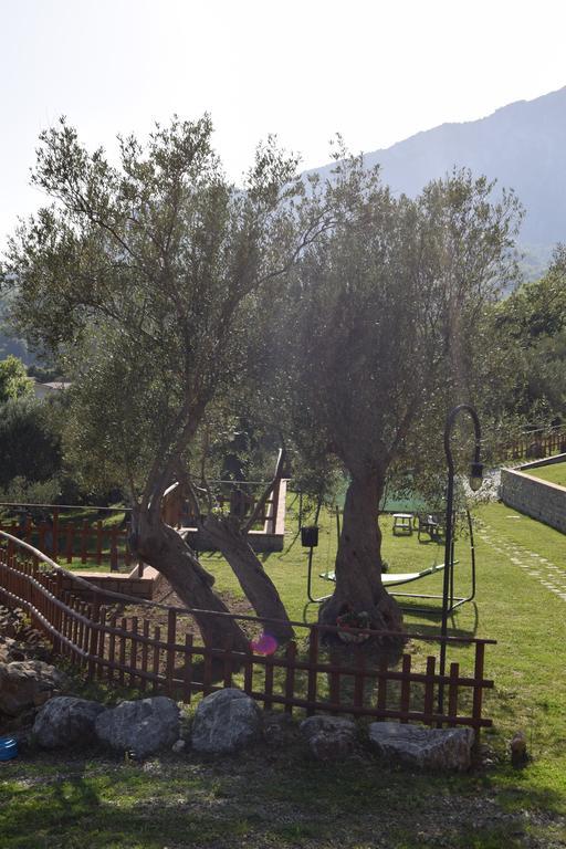 Apartmán Al Boschetto Scario Exteriér fotografie